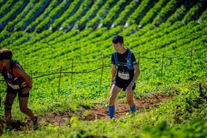 BIB: 
                            <button type="button" onclick="openModal(19161463)" class="btn btn-primary btn-sm float-right btn-popup" data-toggle="modal" data-target=".modal-high-quality">
                        <i class="fas fa-shopping-cart"></i> Add to Cart
                    </button>
                                            <button type="button" onclick="isThisMe(19161463, true)" class="btn btn-success btn-sm float-right btn-popup btn-isme hidden" data-toggle="tooltip" data-placement="bottom" title="นี่คือรูปของคุณใช่ไหม คลิกที่นี่เพื่อเอาเข้าอัลบั้ม">
                        <i class="fas fa-plus"></i> Add to album
                    </button>
                    <button type="button" onclick="isThisMe(19161463, false)" class="btn btn-warning btn-sm float-right btn-popup btn-isnotme hidden">
                        <i class="fas fa-ban"></i> Remove from album
                    </button>